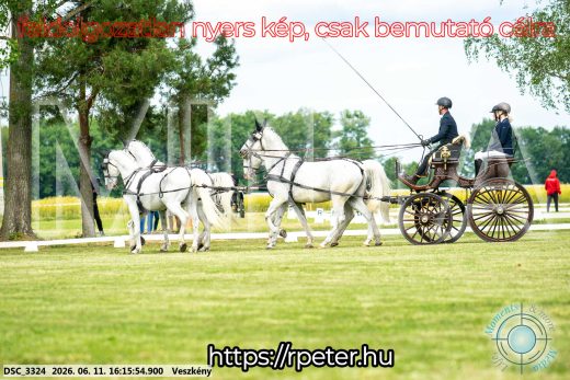 Mintakép 20260611-41