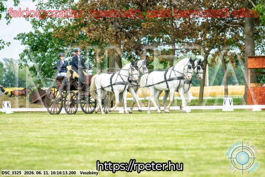 Mintakép 20260611-42