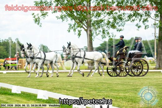Mintakép 20260611-43