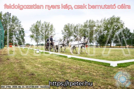 Mintakép 20260611-44