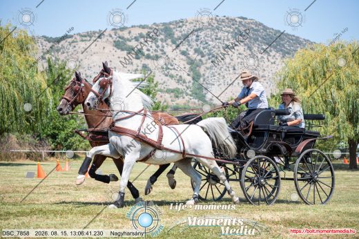 Mintakép 20260815-481
