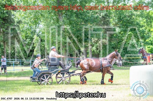 Mintakép 20260613-118