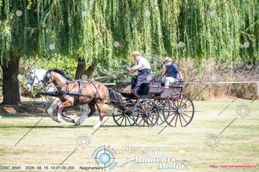 20260815-100100-DSC_6591.jpg