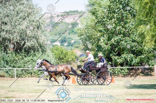 Mintakép 20260815-521