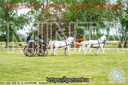 Mintakép 20260611-49