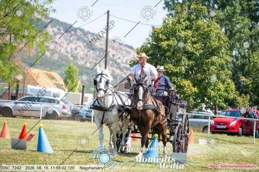 Mintakép 20260815-527