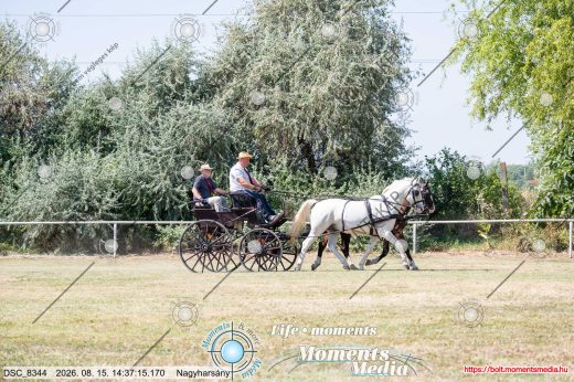 Mintakép 20260815-531