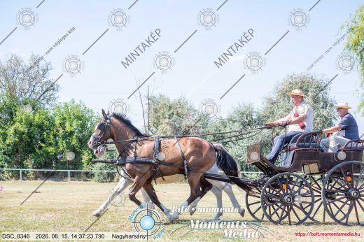 Mintakép 20260815-532