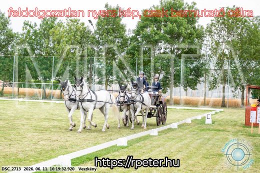 Mintakép 20260611-50