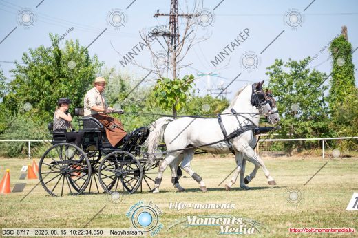 Mintakép 20260815-552