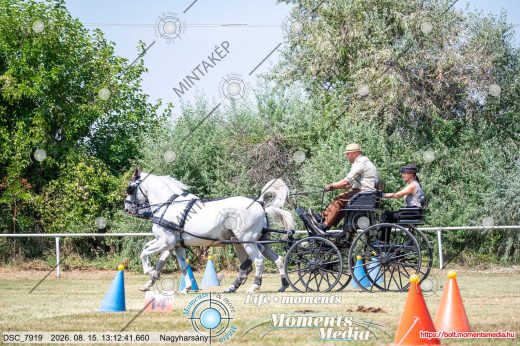 Mintakép 20260815-572