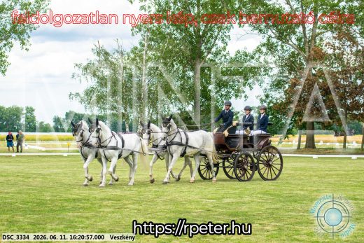 Mintakép 20260611-54