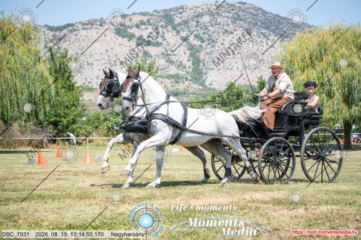 Mintakép 20260815-577