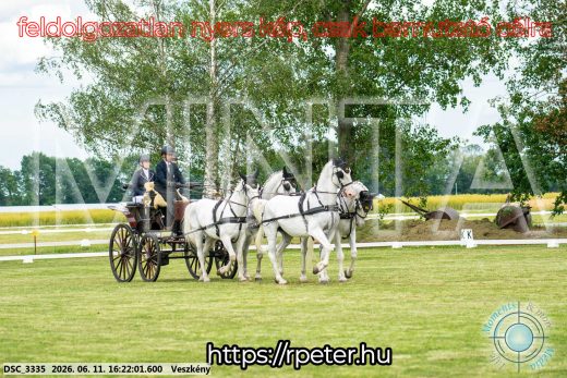 Mintakép 20260611-55