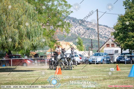 Mintakép 20260815-599