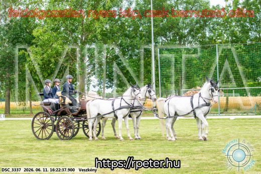 Mintakép 20260611-57