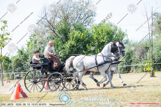 Mintakép 20260815-609