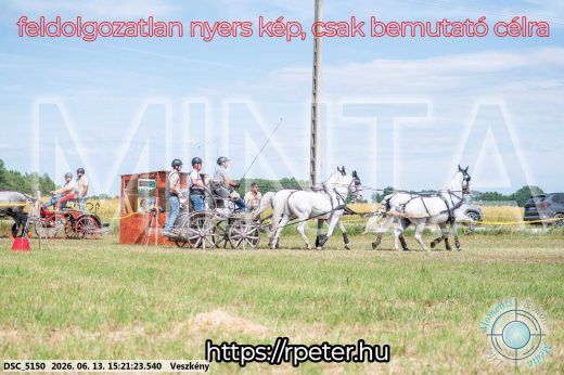Mintakép 20260613-1501