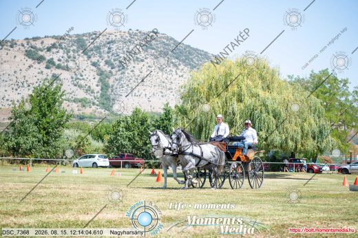 Mintakép 20260815-642