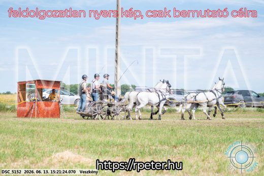Mintakép 20260613-1503