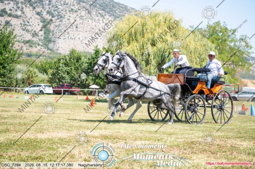 Mintakép 20260815-658