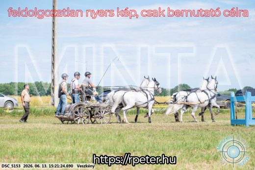 Mintakép 20260613-1504