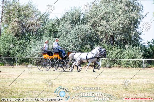 Mintakép 20260815-663