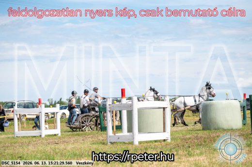 Mintakép 20260613-1505