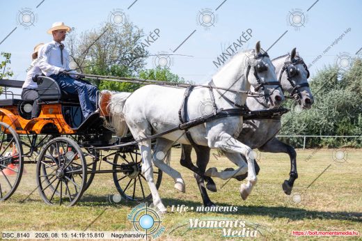 Mintakép 20260815-677