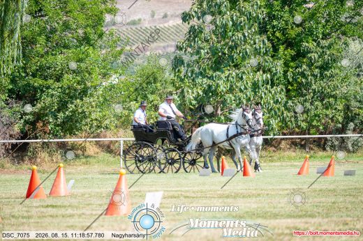 Mintakép 20260815-682