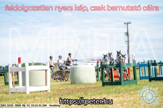 Mintakép 20260613-1506