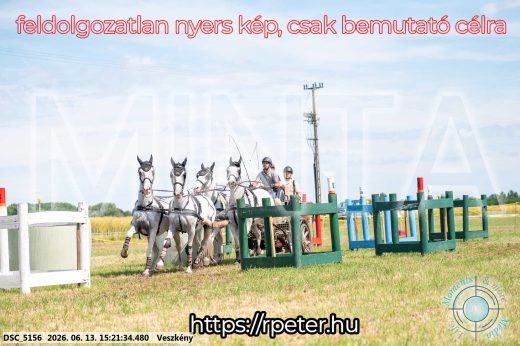 Mintakép 20260613-1507