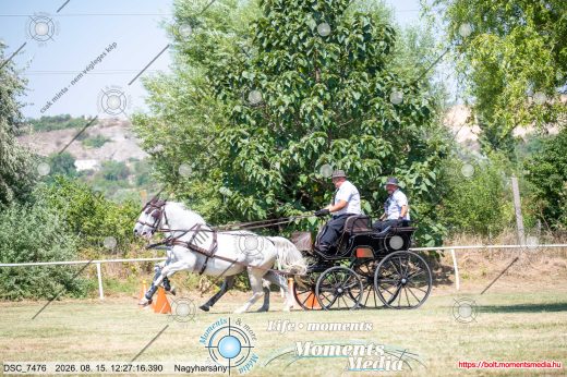 Mintakép 20260815-697
