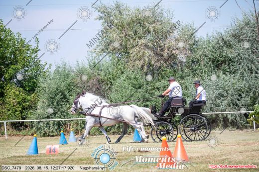 Mintakép 20260815-698