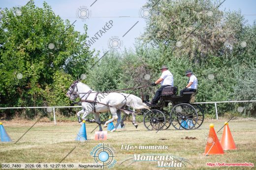 Mintakép 20260815-699