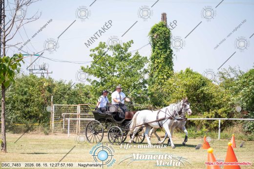 Mintakép 20260815-701