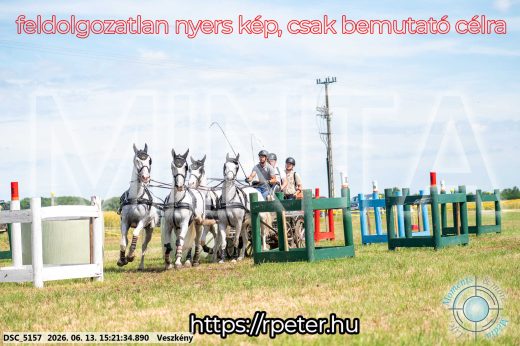 Mintakép 20260613-1508