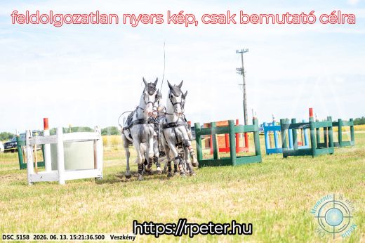 Mintakép 20260613-1509