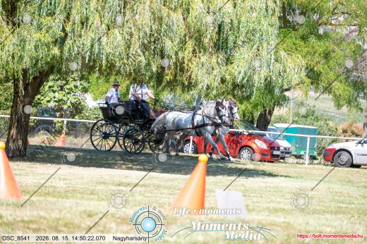 Mintakép 20260815-721