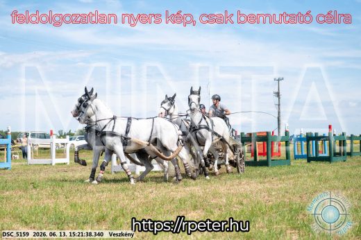 Mintakép 20260613-1510