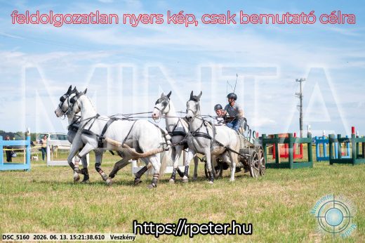 Mintakép 20260613-1511