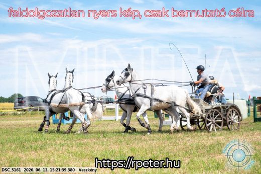 Mintakép 20260613-1512