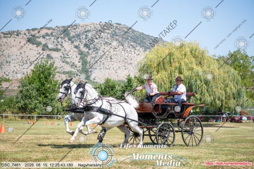 Mintakép 20260815-757