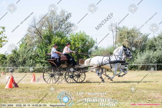 Mintakép 20260815-763