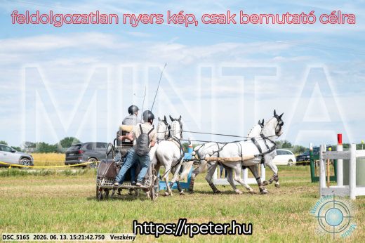 Mintakép 20260613-1516