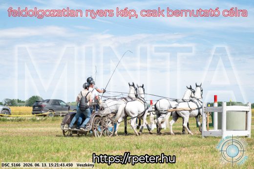 Mintakép 20260613-1517
