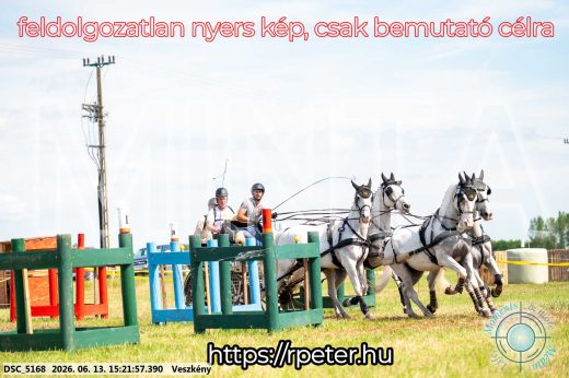 Mintakép 20260613-1518