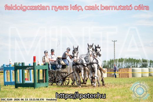 Mintakép 20260613-1519