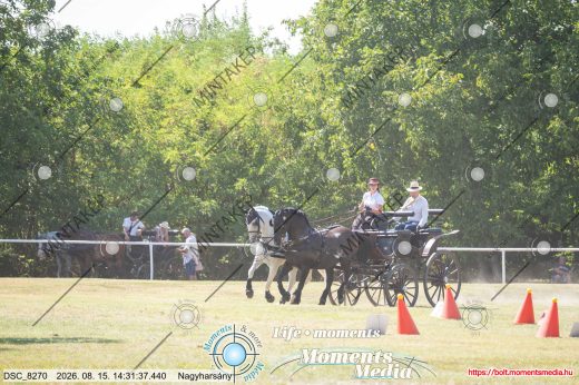 Mintakép 20260815-824