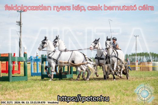 Mintakép 20260613-1521